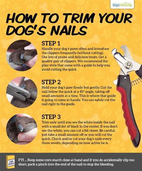 How to trim dog nails - In this video a groomer with over 18 years experience will you how to really cut a dogs nails using a dremel. My goal is to give informative videos that real...